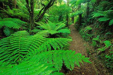 《AI：梦境档案 涅槃计划》新角色艺图 春季发售